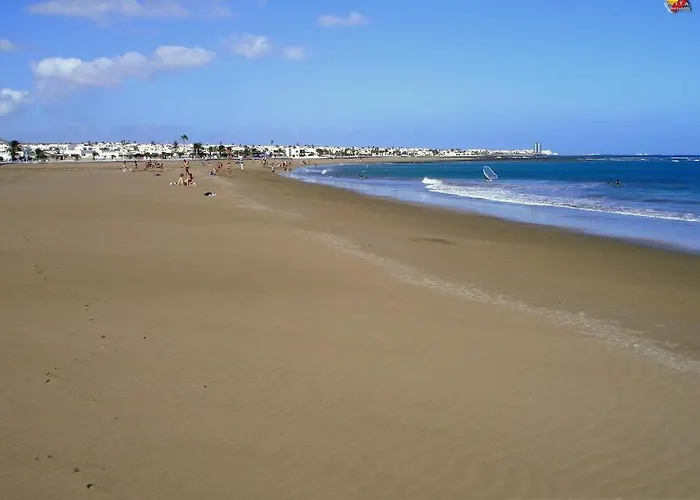 Apartment Flower 16 *